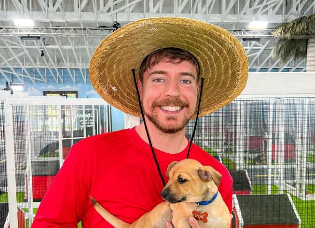 mrbeast.